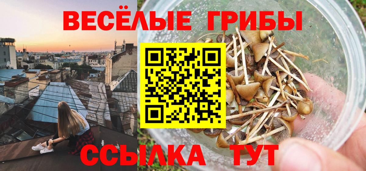 Магадан  Псилоцибиновые грибы Psilocybe  Вход с VPN 